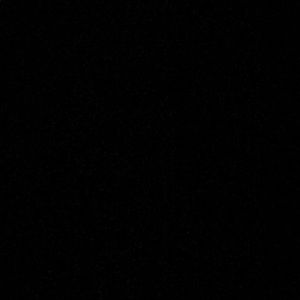 Meet your Posher, Shane